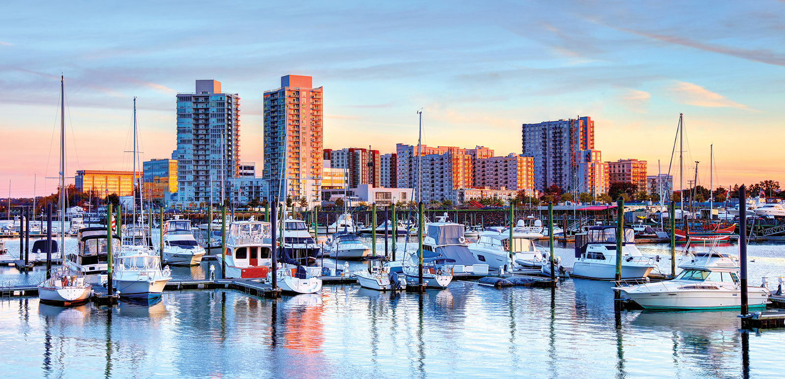 ships in a harbor with city skyline behind